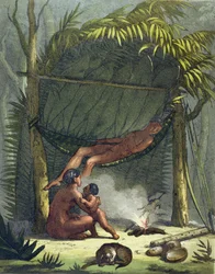 Ansicht einer Puri-Hütte in Brasilien, ca. 1820